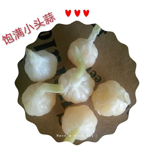 河间市 糖蒜，糖醋蒜，小糖蒜，小而饱满