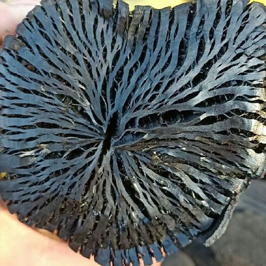 灵山县荔枝龙眼炭