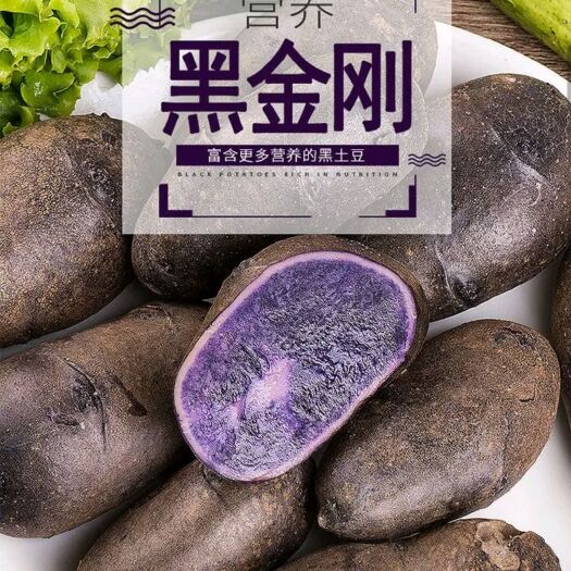 天祝县地下的黑莓，高原黑土豆
