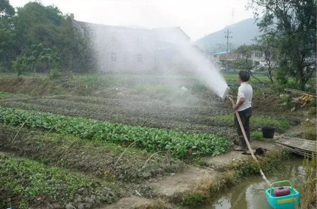 喷头 喷洒