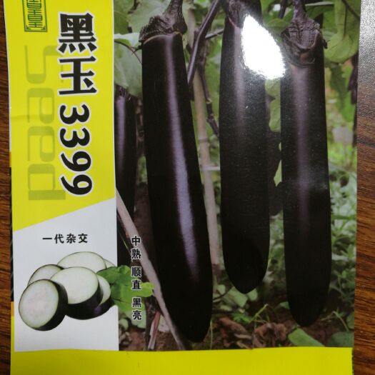 重庆市茄子种子 黑亮长茄 顺直
