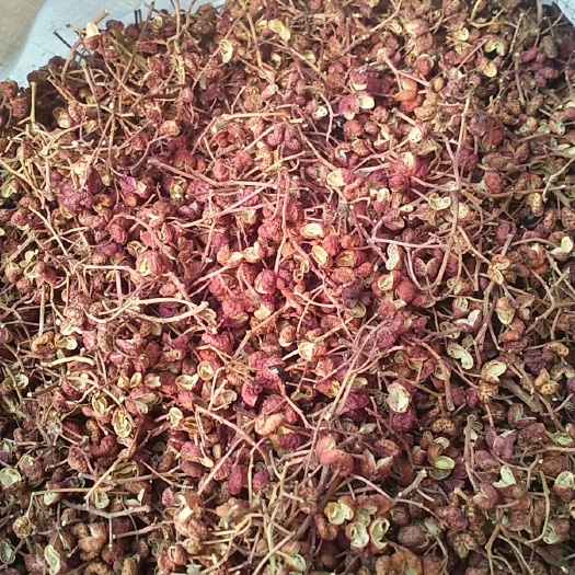 邯郸 小花椒