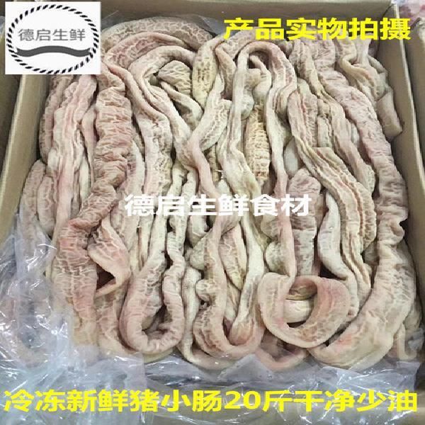  冷冻生鲜猪肠子 新鲜猪小肠 苦肠 生猪肉猪副 干净无油预煮熟