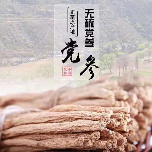 平顺县党参潞党参，纯手工，绿色，滋补品，品质好药性好。