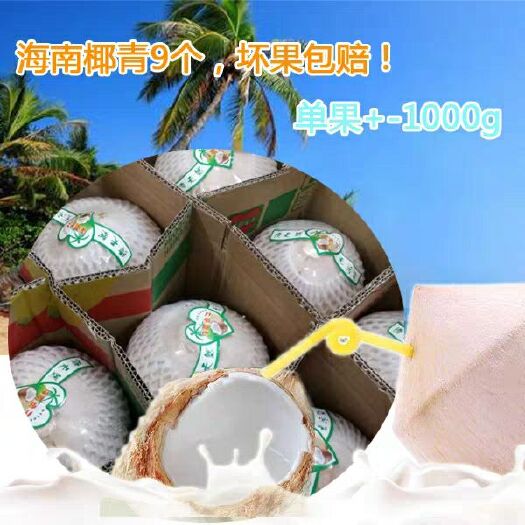 文昌市 热带新鲜水果海南特产椰青去皮青椰子9个装箱大果包邮原产地发货