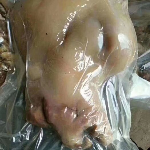 阳信县 水退熟牛头肉