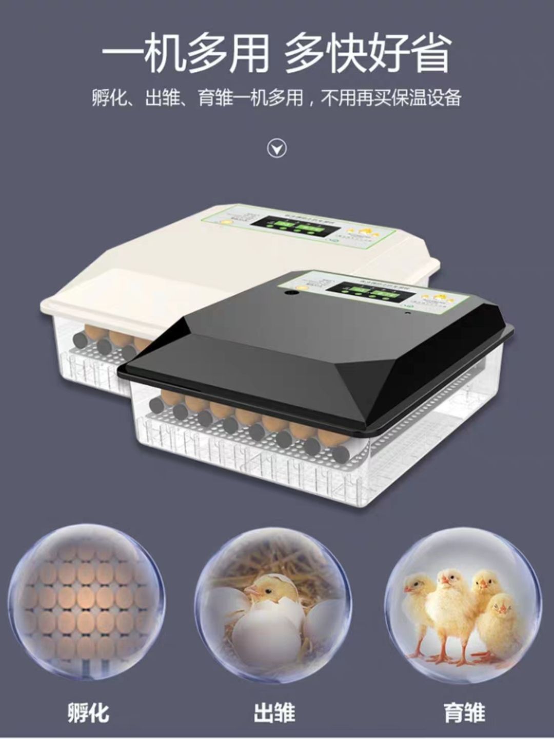 养殖孵化机 孵化机《厂家直销包邮》小型家用全自动智能三用鸡鸭鹅蛋可孵化箱