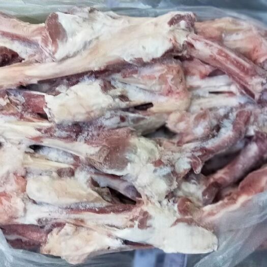 阳信县羊骨  羊棒骨