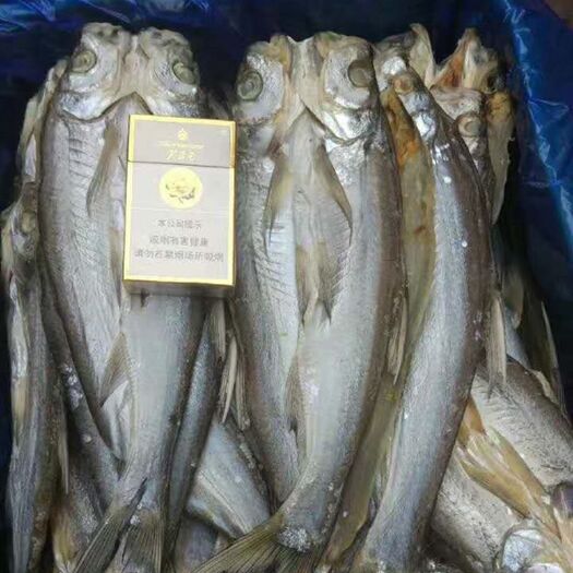 长沙刁子鱼干 谈水鱼大白刁