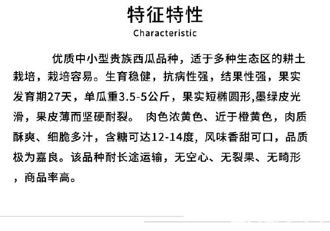  超甜浪潮黑美橙礼品西瓜种子 黑皮橙瓤橙肉口感甜脆 四季水果