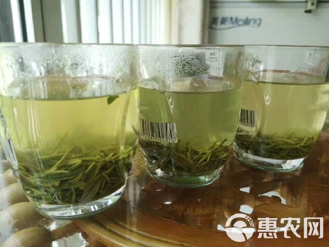 银毫茶 信阳毛尖 明前茶纯芽 特级茶  高档礼盒包装