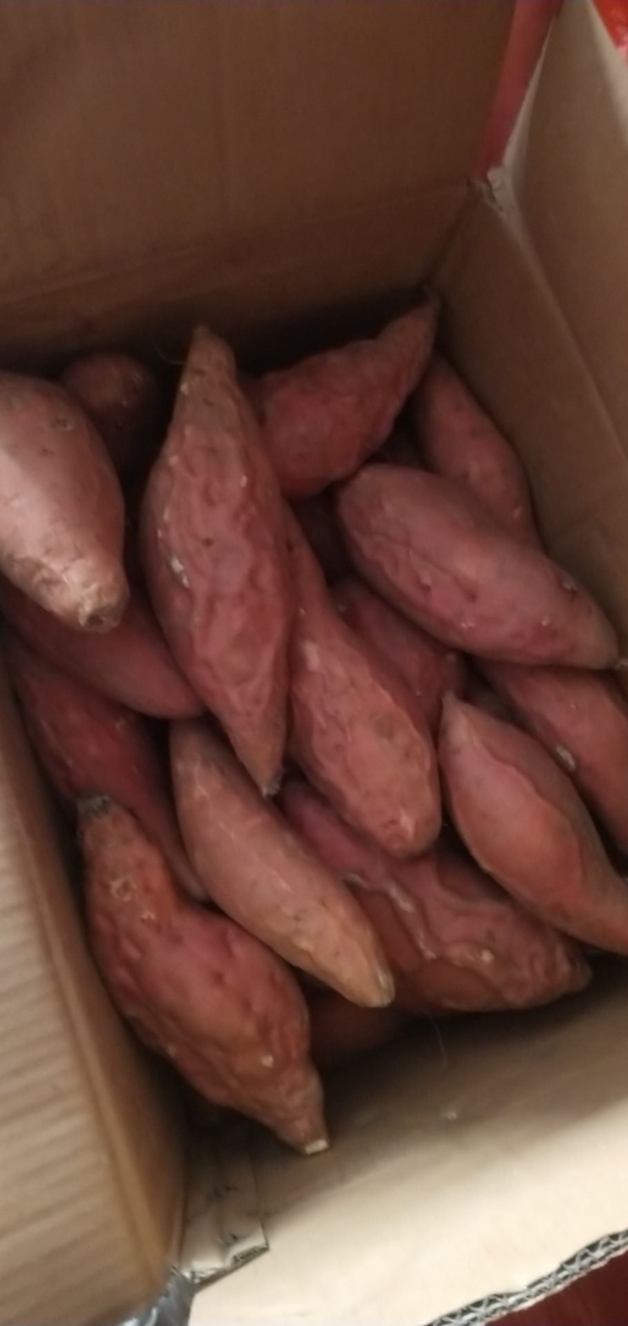 烟薯25 窖藏爆浆蜜薯