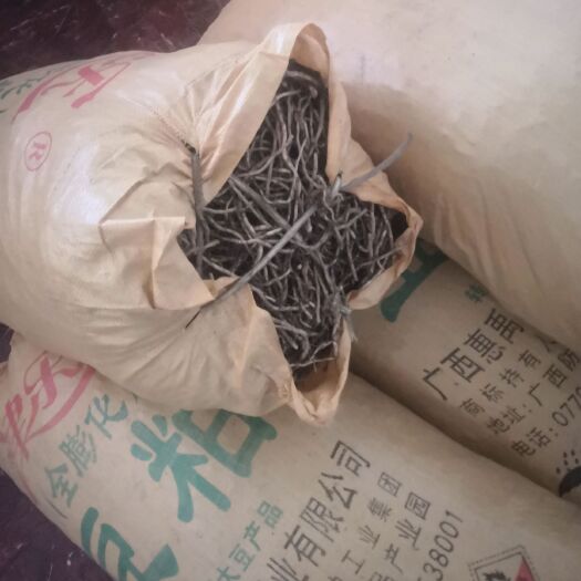 贵阳 自产折耳根/鱼腥草，现货供应，量多可送，可议价