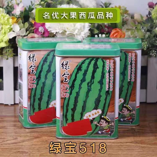 绿宝518西瓜种子花皮椭圆形丰产抗病耐低温特大特甜红瓤皮薄