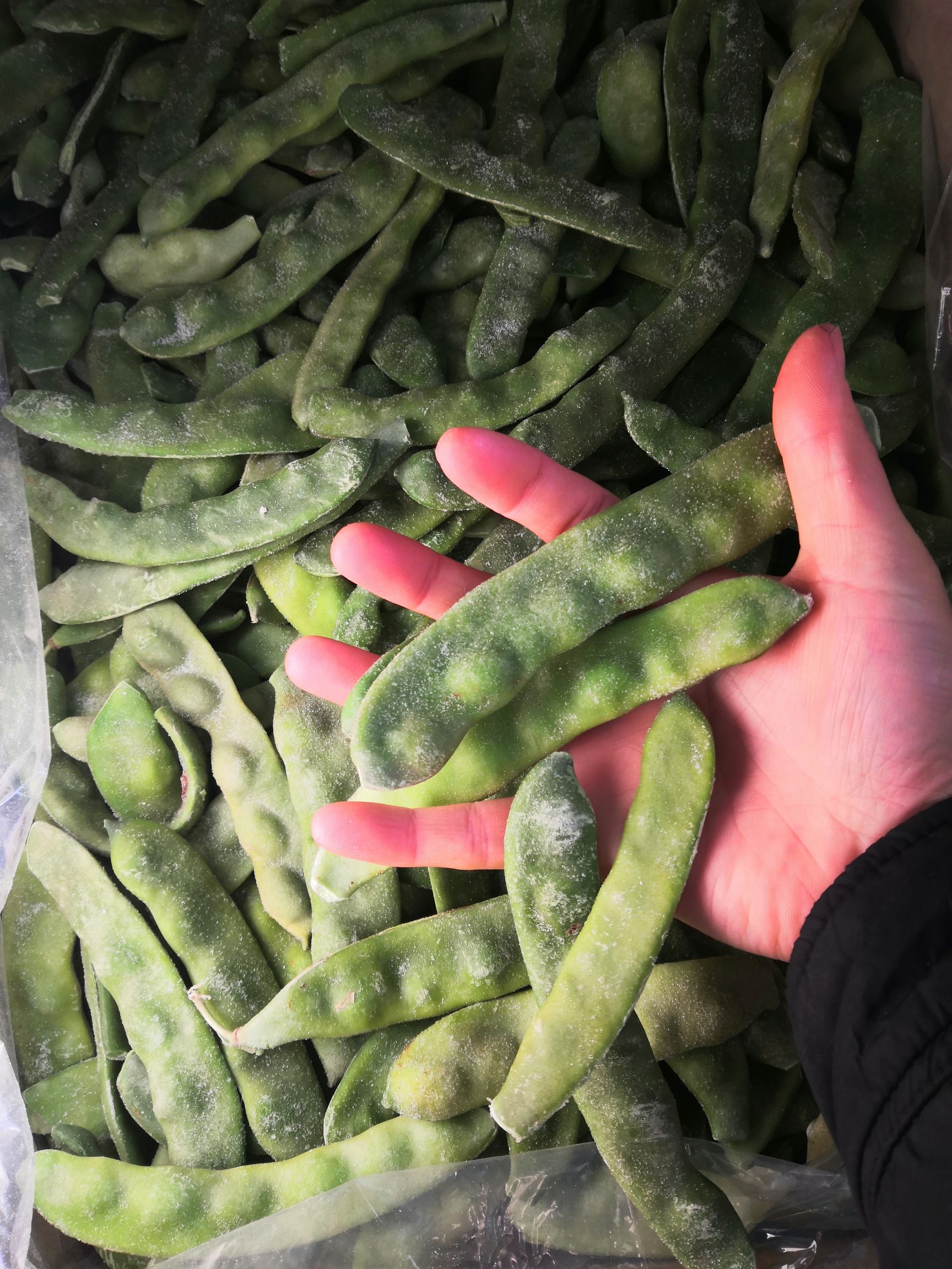 肇东市速冻黄豆角 东北速冻绿油豆，冷冻保鲜，寒冷冬季依然能吃出夏季豆角的味道。
