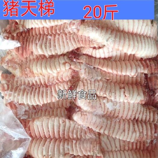 南京猪肉类 新鲜冷冻猪天梯猪牙板一箱20斤饭店卤菜食材