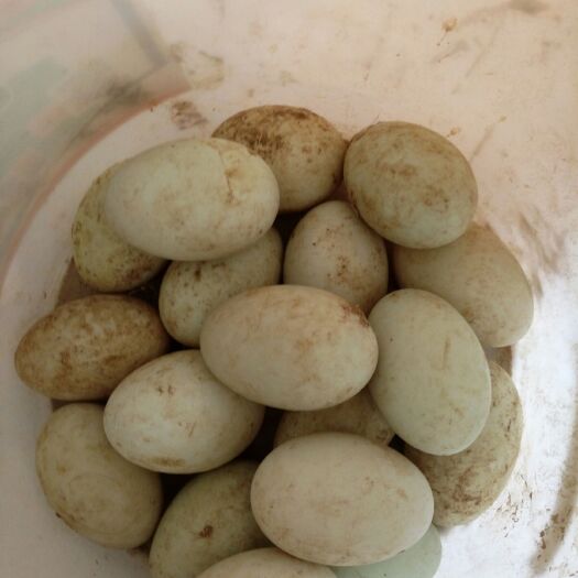 延津县 麻鸭蛋