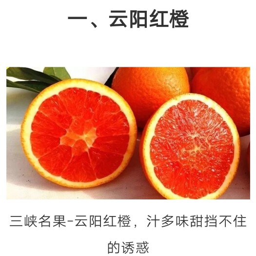 云阳橙子新鲜天然孕妇水果重庆云阳红肉脐橙现摘现发红橙产地直供