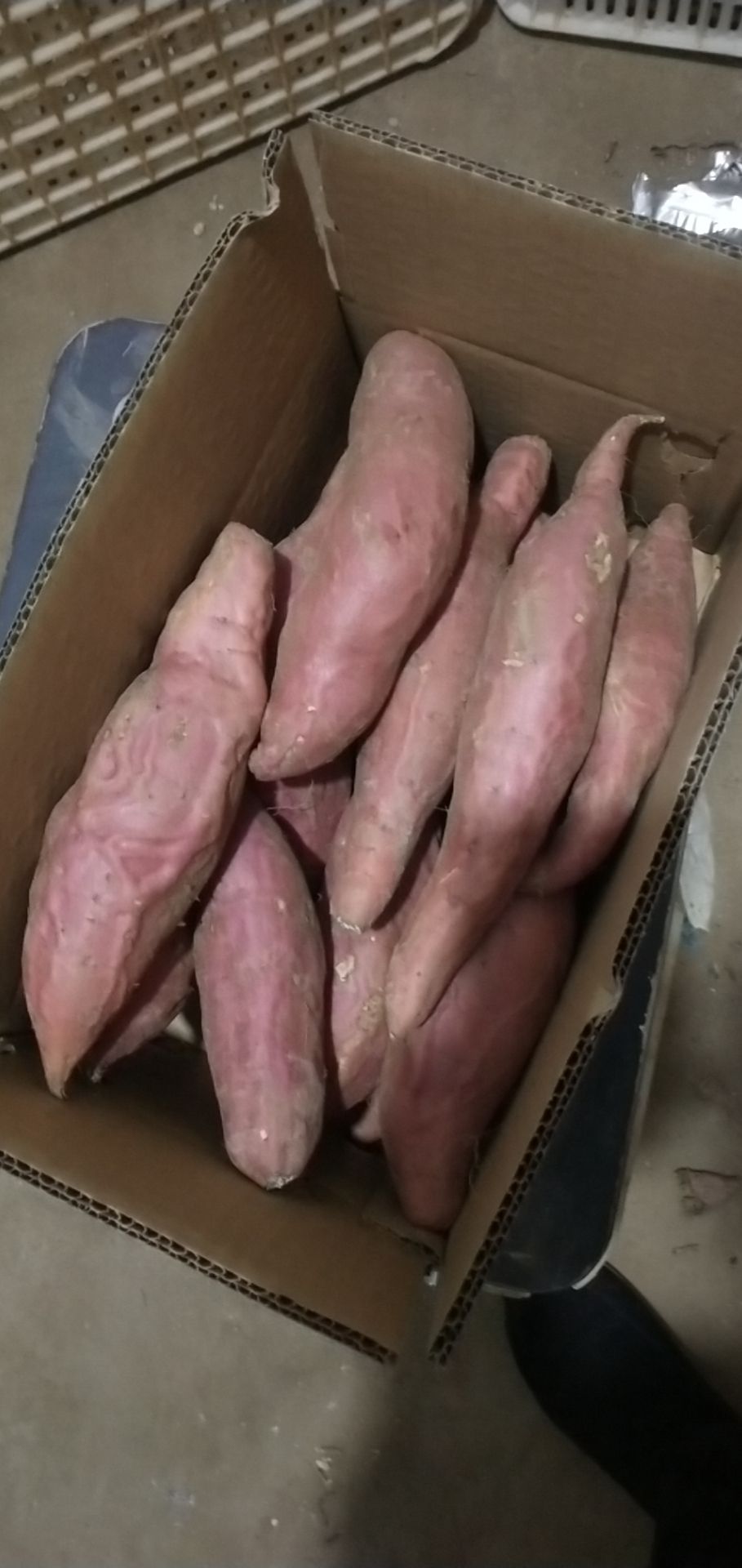 烟薯25 窖藏爆浆蜜薯