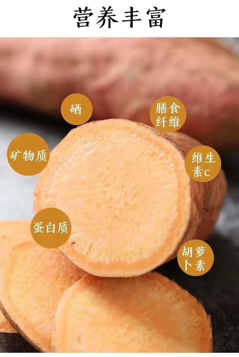 烟薯25 窖藏爆浆蜜薯