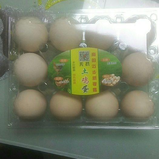 南阳 正宗无抗土鸡蛋