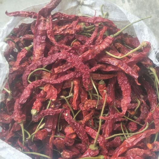 毕节 本地自栽干辣椒