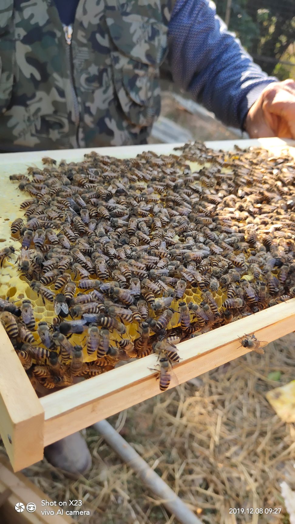 冬蜜 广西天然纯正藤花蜜