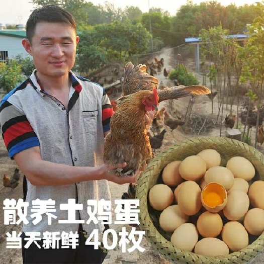 沭阳县 草鸡蛋土鸡蛋新鲜散养鸡蛋