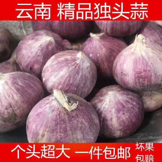 昆明 云南紫皮大蒜，
