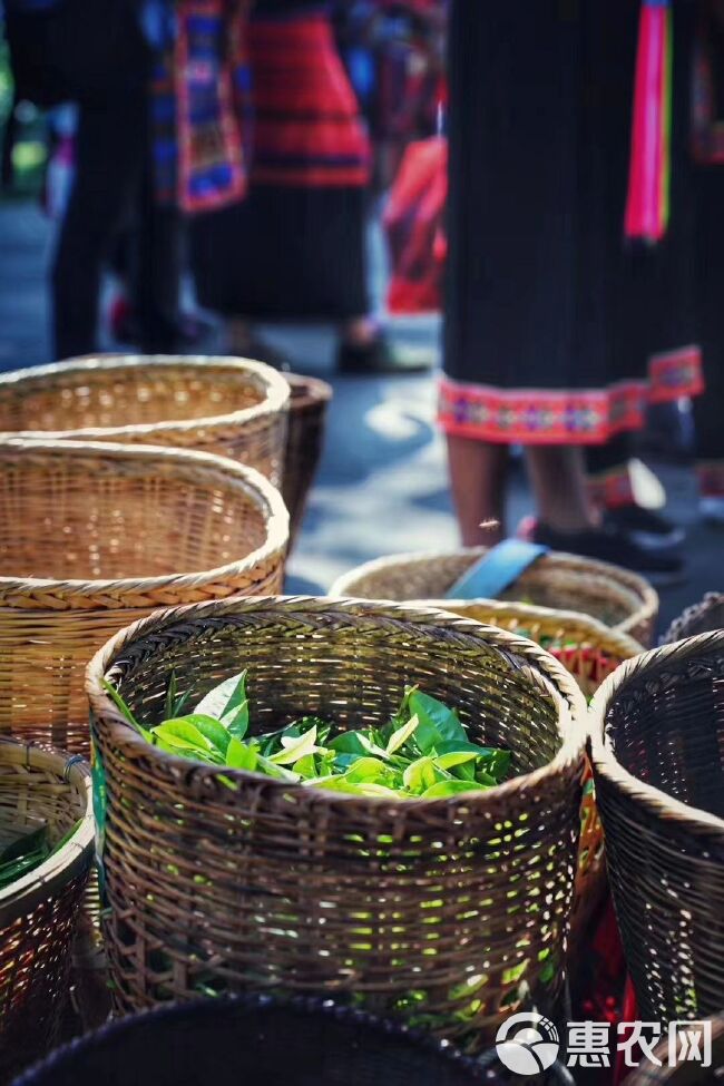 银毫茶 信阳毛尖 明前茶纯芽 特级茶  高档礼盒包装