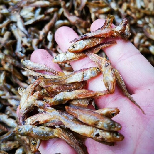 耒阳市小麦穗鱼干 果炭火焙鱼，麦穗鱼干无盐无油。干度干