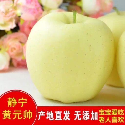 静宁苹果黄元帅苹果老人宝宝喜欢吃的山地鲜果产地直供包邮