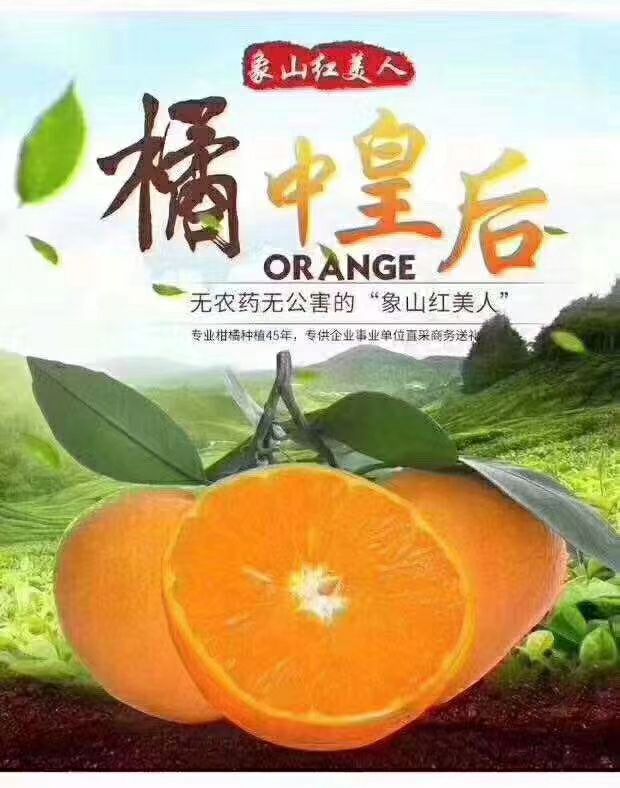 红美人柑桔  象山红美人，橘中精品，自产自销，江浙沪包邮