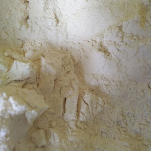 睢县面筋粉  农家小麦面粉，