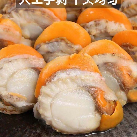荣成市冷冻扇贝肉 鲜活海鲜栉孔扇贝原汁裙边带卵扇贝肉