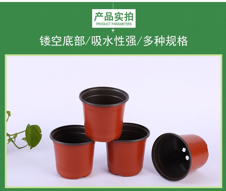 双色多肉花盆 绿植园艺用品软吸塑料pp简易育苗盆塑料双色小
