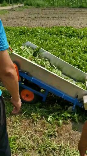  蔬菜韭菜芹菜香菜菠菜苜蓿药材收割机播种机打捆机老韭菜平茬机