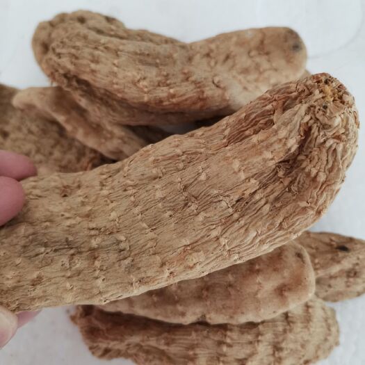 秦岭深山无硫天麻，7-10个/斤，个头饱满，无硫全干，品质好