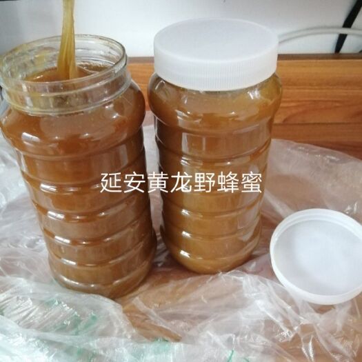 南召县 延安黄龙土蜂蜜