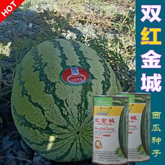 樟树市双红瓤康乐6号号西瓜种子特大压砂瓜种子石缝瓜种子大红瓤皮薄耐