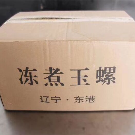 东港市玉螺肉 玉螺