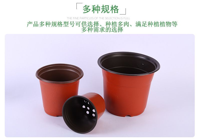 双色多肉花盆 绿植园艺用品软吸塑料pp简易育苗盆塑料双色小