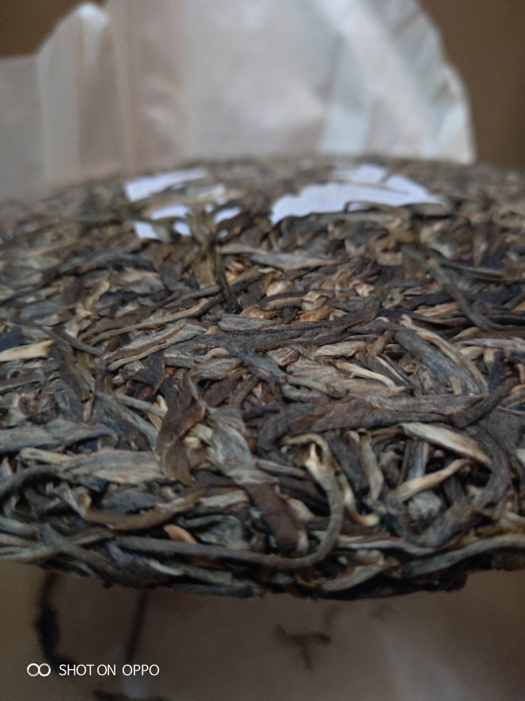普洱生茶 苦竹山老树茶，299元一提(7个饼)