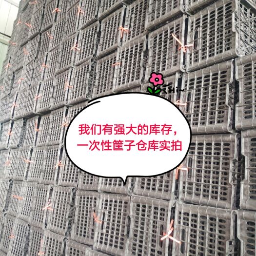 塑料筐  自产自销，工厂价，河南省南阳市内乡县万盈果蔬筐厂