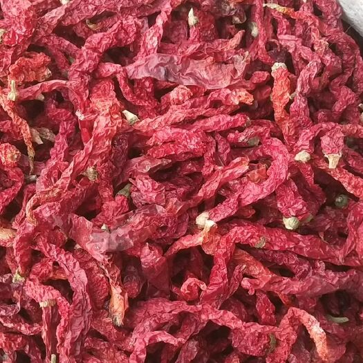 乌鲁木齐干线椒 沙湾线椒