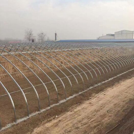 泊头市蔬菜大棚