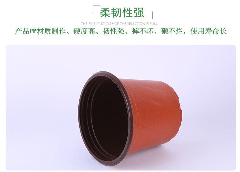 双色多肉花盆 绿植园艺用品软吸塑料pp简易育苗盆塑料双色小