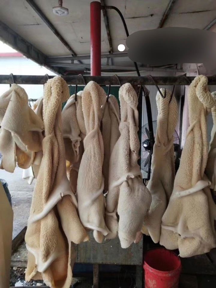 半成品牛肚 出成率高 无油 一分钱一分货！