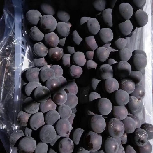 北镇市 北镇巨丰葡萄冷库大量上市，质量好，价格便宜，不掉粒实际来看
