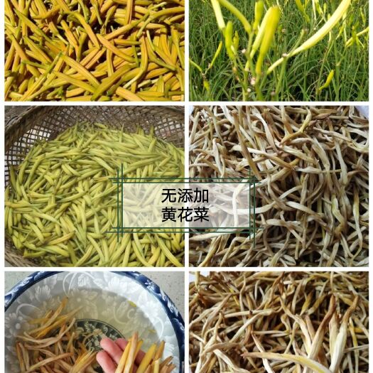 四会市黄花菜干 黄花菜自然晒干，香甜脆口，自家种植黄花菜，传统工艺